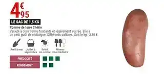 Gamm vert Pomme de terre chérie offre