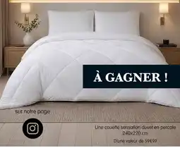 b&m Couette sensation duvet en percale 240x220 cm offre