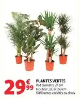 Auchan Drive PLANTES VERTES offre