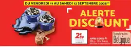 Netto Oreo muffins x2 offre