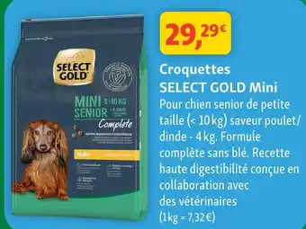 Select gold croquettes mini
