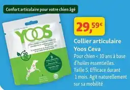Maxi Zoo Yoos - collier articulaire cave offre