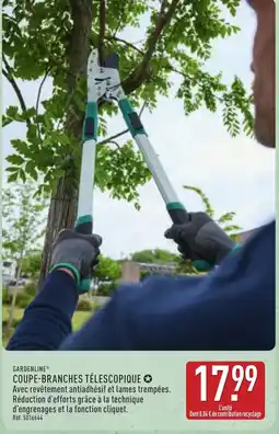 ALDI GARDENLINE COUPE-BRANCHES TÉLESCOPIQUE offre