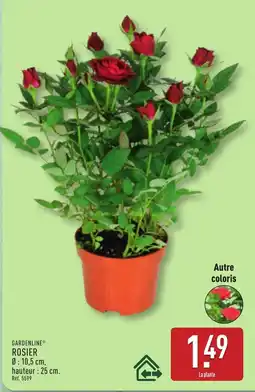 ALDI GARDENLINE ROSIER offre