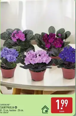 ALDI GARDENLINE SAINTPAULIA offre