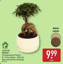 ALDI GARDENLINE BONSAÏ offre