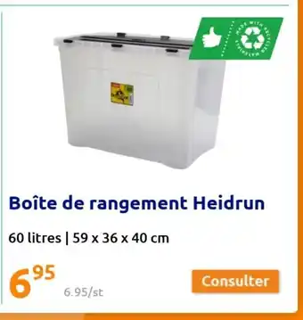Action Boîte de Rangement Heidrun offre