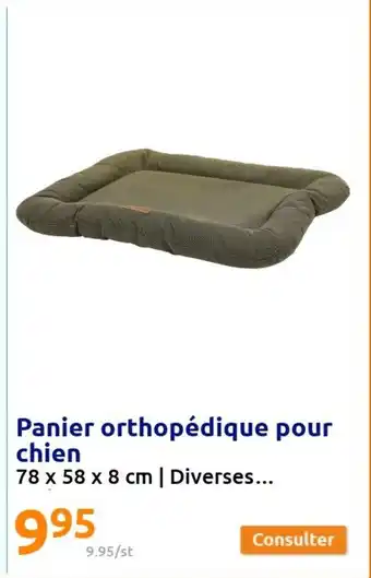 Action Panier Orthopédique Pour Chien offre