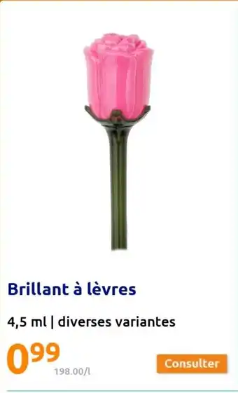 Action Brillant à Lèvres offre