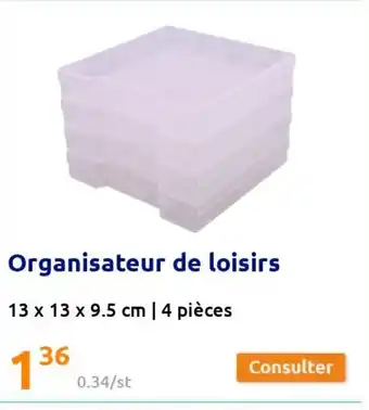 Action Organisateur de Loisirs offre