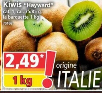 Norma Kiwis Hayward offre