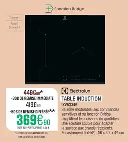 Extra Electrolux TABLE INDUCTION offre