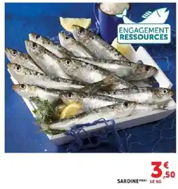 Hyper U Sardine offre