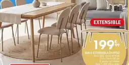 La Foir'Fouille Table extensible calypso offre