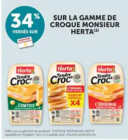 Bi1 Herta Croque Monsieur offre