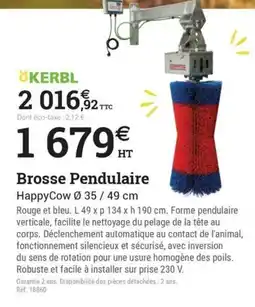 Espace emeraude KERBL Brosse Pendulaire offre