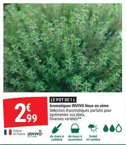 Gamm vert INVIVO Aromatiques offre