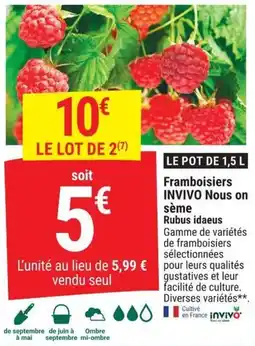 Gamm vert INVIVO Framboisiers offre