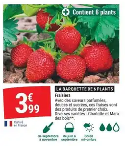 Gamm vert LA BARQUETTE DE 6 PLANTS offre