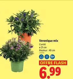 Lidl Veronique mix offre