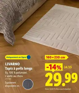 Lidl Livarno tapis à poils longs offre
