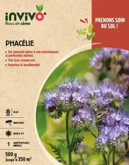 Gamm vert Invivo nous on sème graines de moutarde blanche invivo nous on sème offre