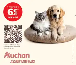 Auchan Auchan ASSUR'ANIMAUX offre
