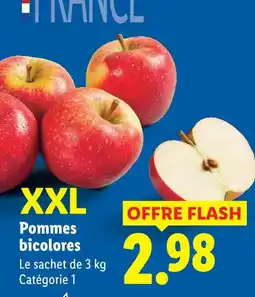 Lidl Pommes bicolores offre
