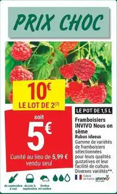 Gamm vert Invivo - framboisiers offre