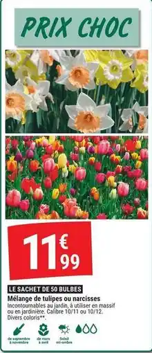 Gamm vert Mars - le sacifi de 30 dubses offre