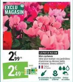 Gamm vert Mini-éclamen offre