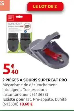 Rural Master SUPERCAT Pièges à souris PRO offre