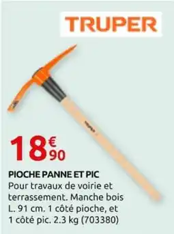 Rural Master TRUPER Pioche panne et pic offre