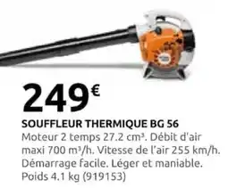 Rural Master SOUFFLEUR THERMIQUE BG 56 offre