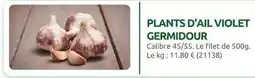 Rural Master GERMIDOUR PLANTS D'AIL VIOLET offre