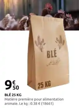 Rural Master Blé offre