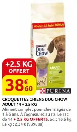 Rural Master PURINA DOG CHOW offre