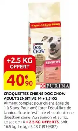 Rural Master Dog Chow Croquettes chiens Adult Sensitive offre