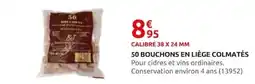 Rural Master BOUCHONS EN LIÈGE COLMATÉS offre