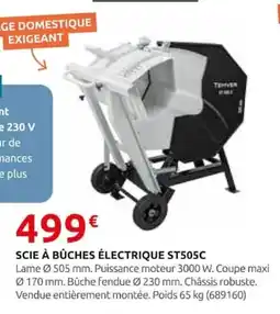 Rural Master TEPPER SCIE À BÛCHES ÉLECTRIQUE ST505C offre