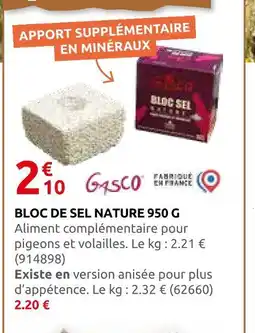 Rural Master Gasco bloc de sel nature offre