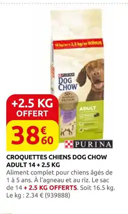 Rural Master Dog chow / purina croquettes chiens adult 14 + 2,5 kg offre