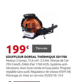 Rural Master Temver souffleur dorsal thermique sd1700 offre