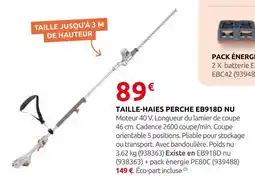 Rural Master Taille-haies perche eb918d nu offre