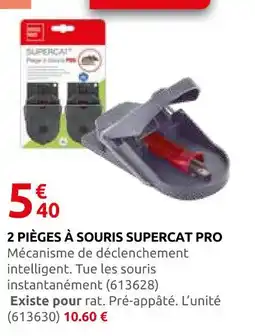 Rural Master 2 pièges à souris supercat pro offre