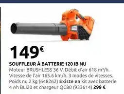 Rural Master Souffleur à batterie 120 ib nu offre