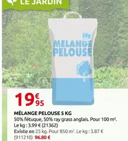 Rural Master Mélange pelouse 5 kg offre
