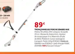 Rural Master Tronçonneuse perche eb608d nue offre