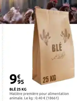 Rural Master Blé 25 kg offre