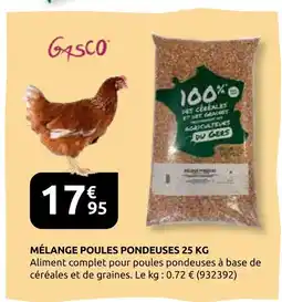 Rural Master Gasco mélange poules pondeuses 25 kg offre